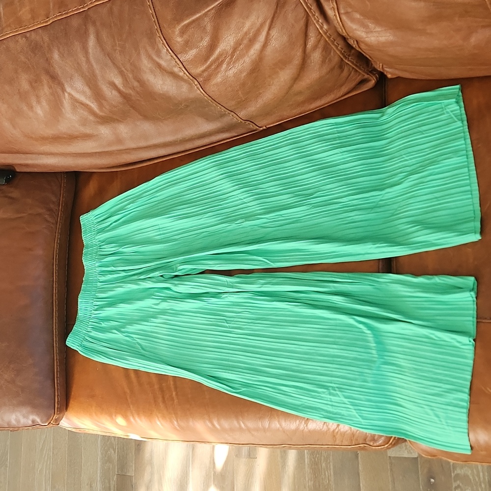 💚 Wide leg, green, pleated, pants, size small, fun and flowy